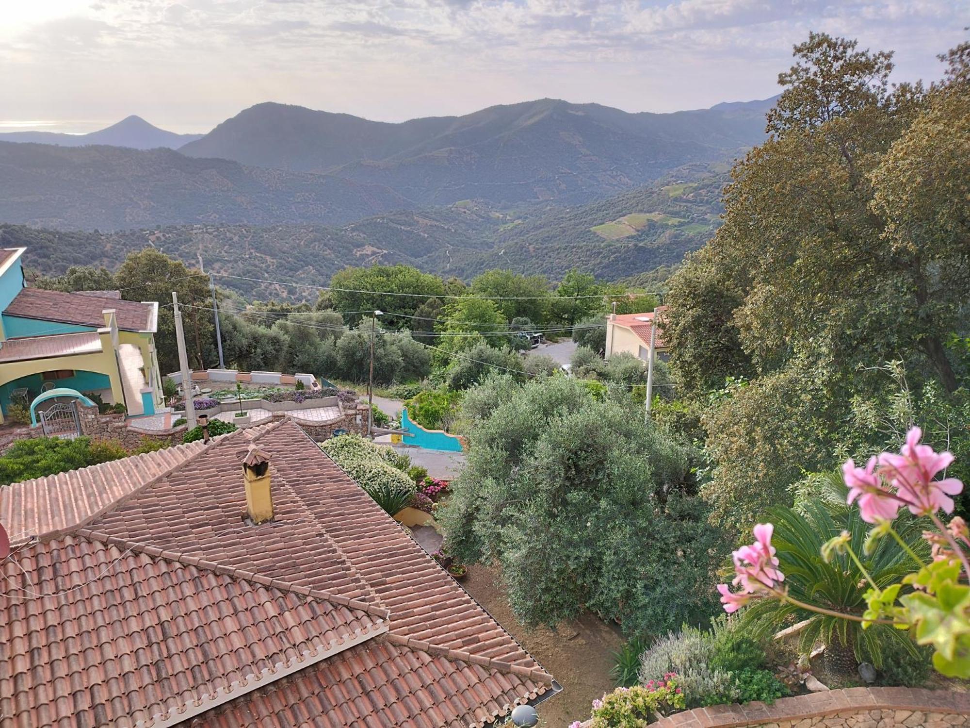 Apartment La Collina