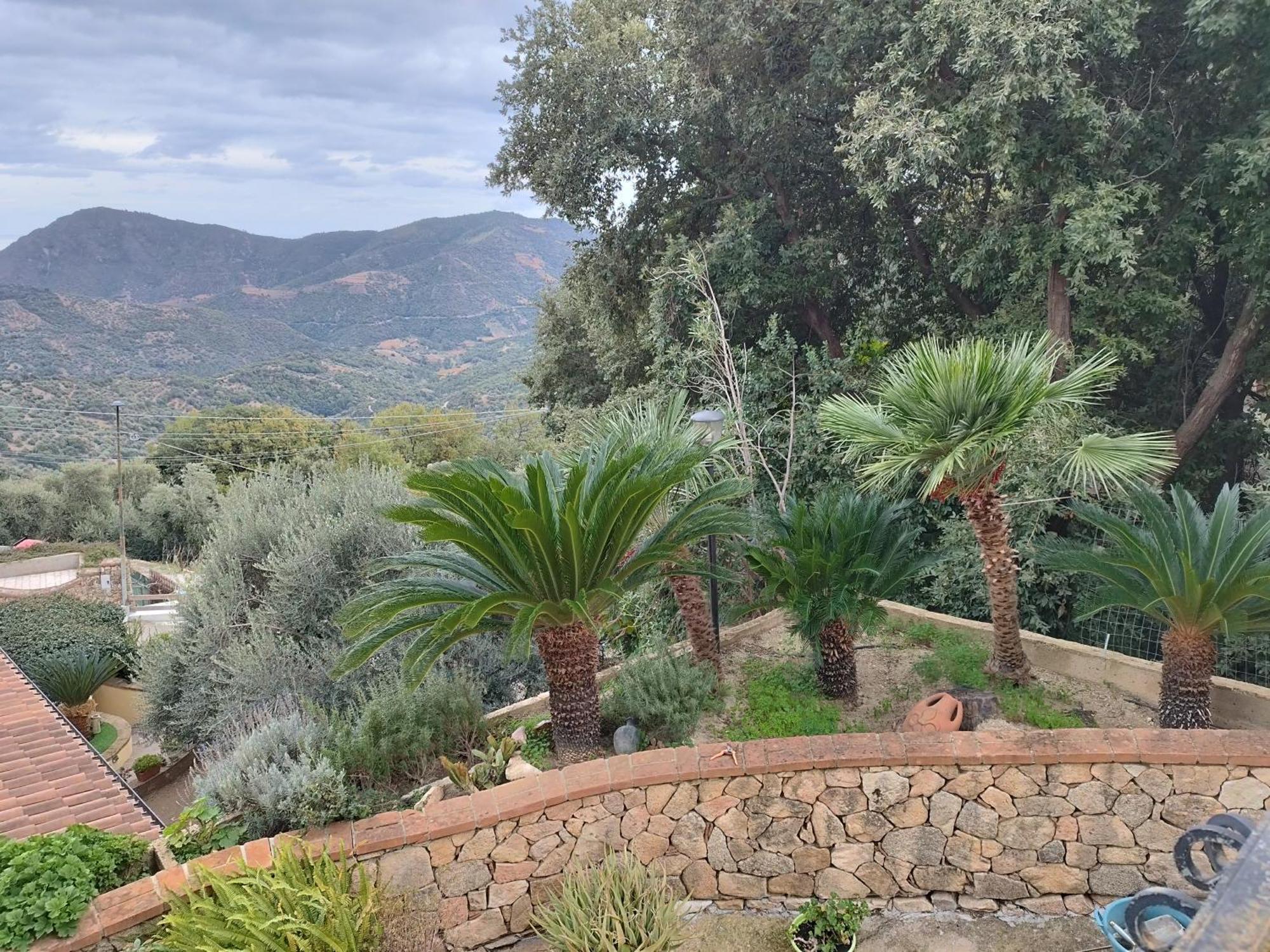 Apartment La Collina *