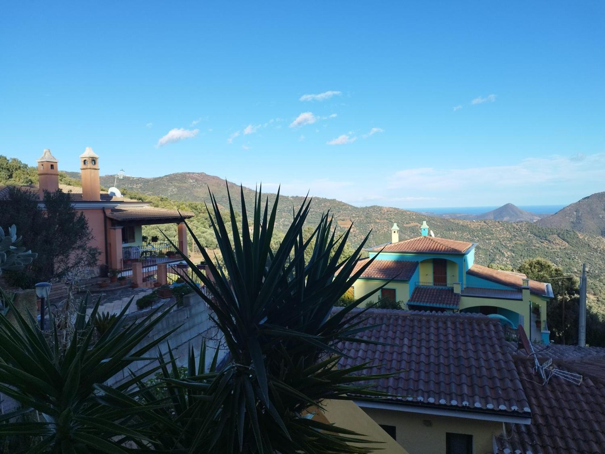 Apartment La Collina