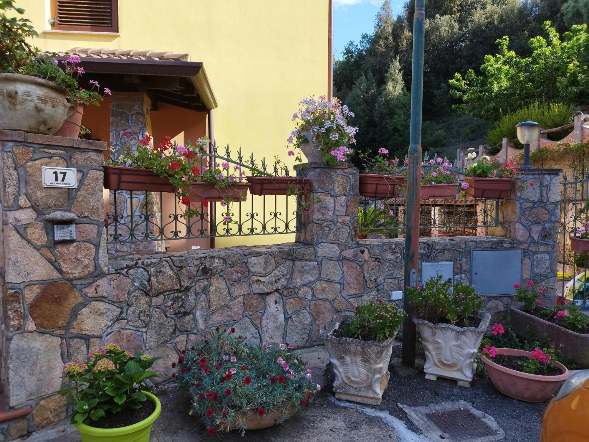 La Collina *