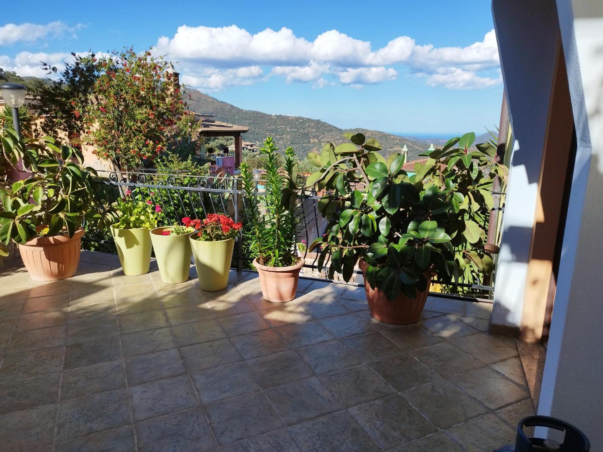 La Collina *