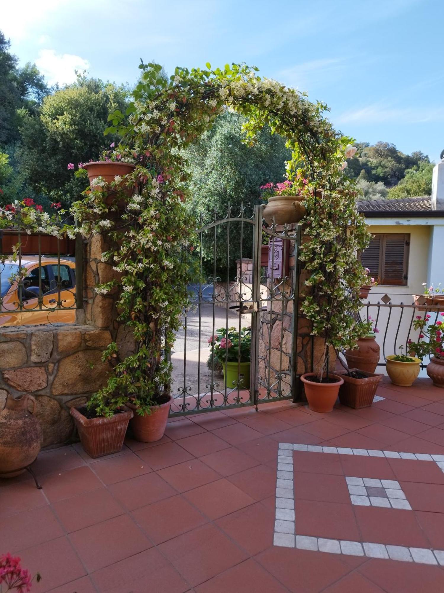 La Collina