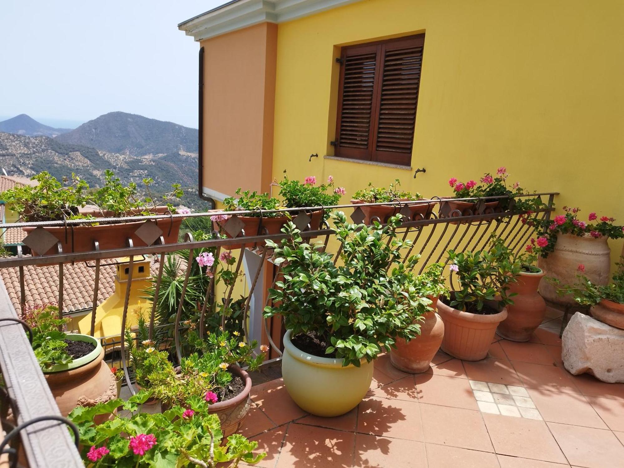 La Collina